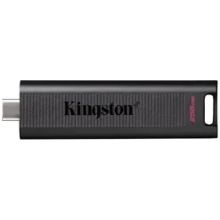 Kingston DataTraveler Max 256GB