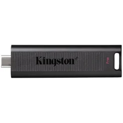 Kingston DataTraveler Max 1TB