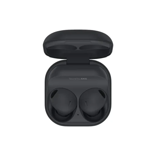 Samsung SM-R510 Galaxy Buds 2 Pro graphite