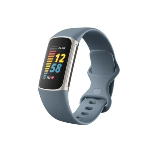 Fitbit Charge 5 graublau / platin