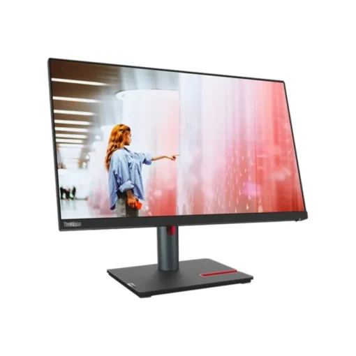 8") WQHD IPS Monitor HDMI/DP/USB HDR