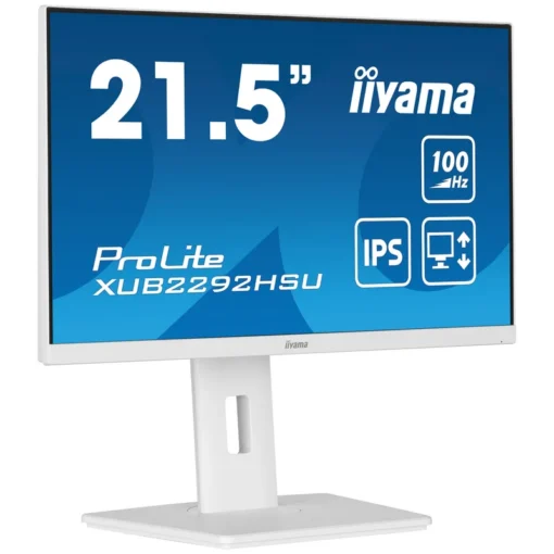 5") FHD IPS Monitor HDMI/DP/USB 100Hz