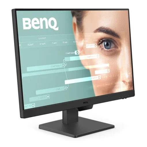 BenQ GW2490 60